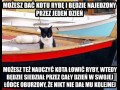 Przypowieść o kocie