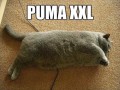 Puma xxl
