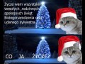 Ci ja życze