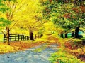 Autumn 1