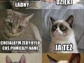 Dajcie mi mur