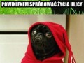 Uliczne życie