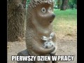 Pierwszy dzień w pracy