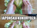 Kukurydza
