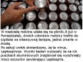 Udostępnij