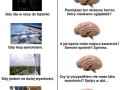 Co myśli mózg