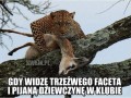 Pijane laski w klubach