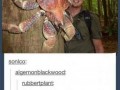 Krab