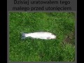 Po prostu dobry człowiek