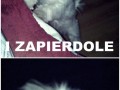 Znajdę