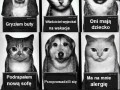 To nie ich wina