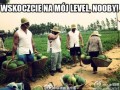 Nooby