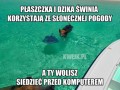 Piękna pogoda