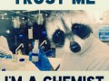 I really am