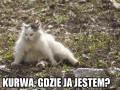 Gdzie ja jestem