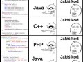 Miłości się nie wybiera