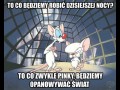 Pinky i mózg