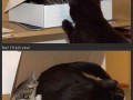 Mmmmmmpffffhhhh