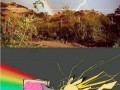 Gdy nyan cat walczy z pikachu