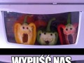 Moje warzywa żyją