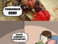 Krwiożerczy żółw