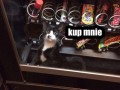 Kup mnie