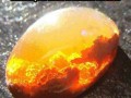 Opal ognisty