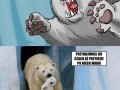 Straszliwy niedźwiedź polarny
