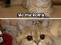 Ludzie na majówkie