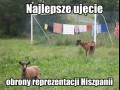 Tak widzę obronę hiszpanii