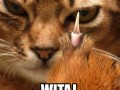 Tak witam poniedziałki