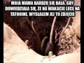 Wakacje na tatooine