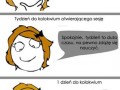 Studia vs rzeczywistość