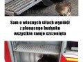 Zwierzęta są cudowne