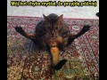 No witam