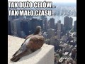 Tak dużo celów