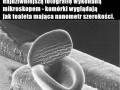 Nanofotografia