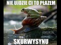 Nie ujdzie ci to płazem