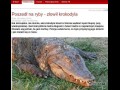Ocieplenie klimatu