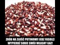Zrób na złość putinowi