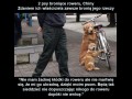 Najlepsze piesły