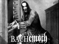 Bachemoth