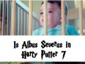 Albus severus