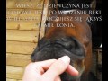 W sensie że gryzie cię waginą w rękę