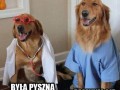 Wyniki są świetne
