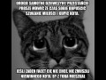 Nie zmuszaj kota