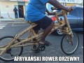Rower drzewny