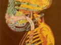 Anatomia obcego