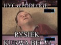 Rysiek hyc o podłogę