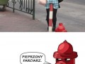 Zazdrosny hydrant